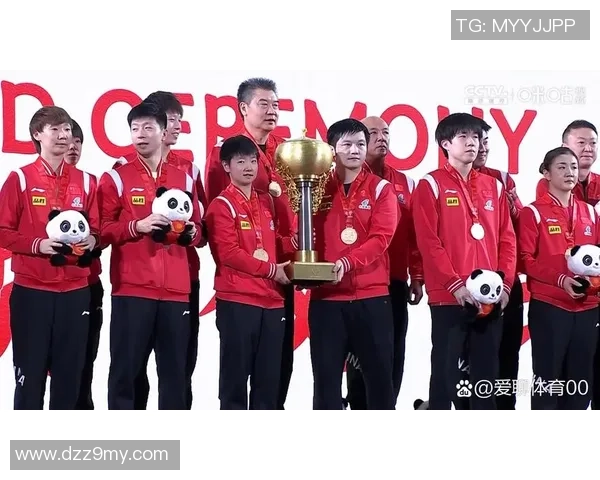 北京乒乓球队灵活性分析与训练策略探讨全面解读