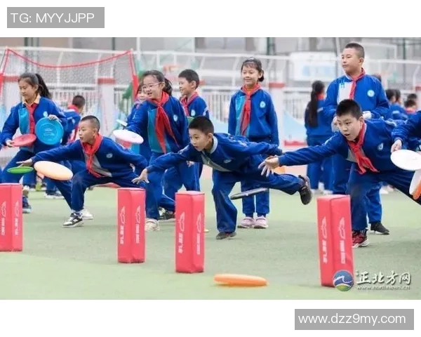 杨敏独家分享飞盘技巧与心得体会助你轻松掌握这项运动的魅力与乐趣